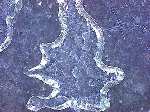 Mikroskop Omegon Digital USB hand - detail euromince