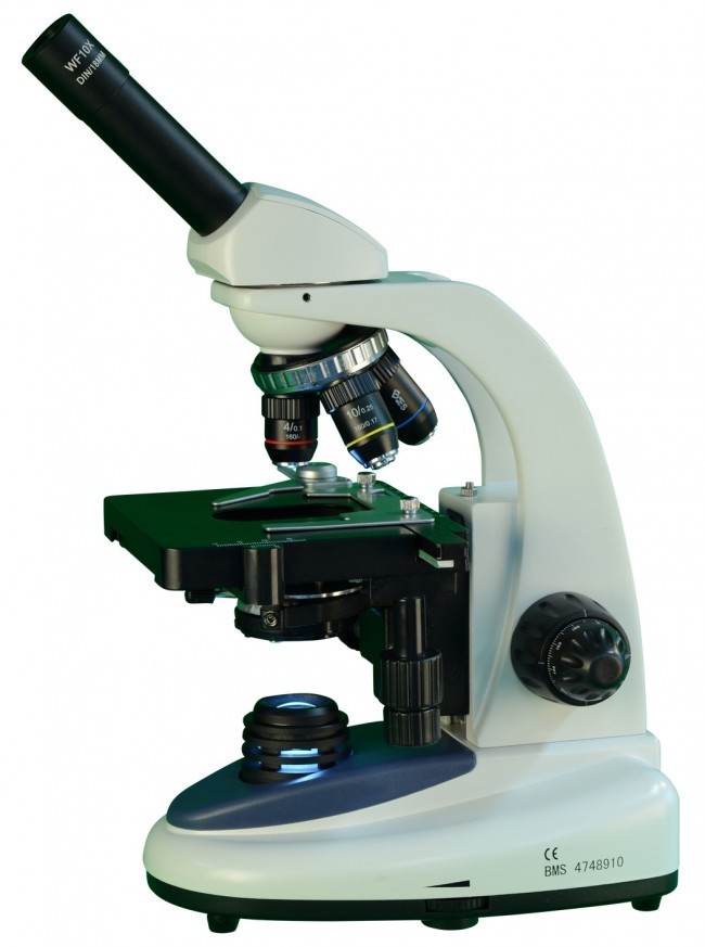 Mikroskop BMS 146 FLArQ LED mono